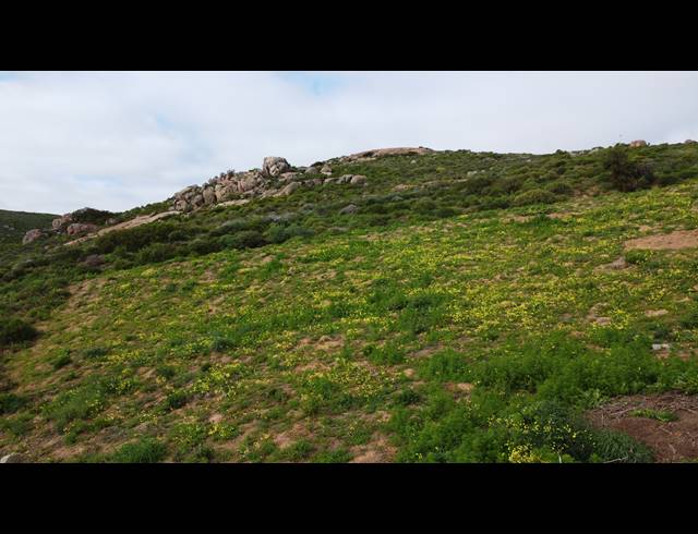 471M² VACANT LAND FOR SALE IN STEENBERGS COVE